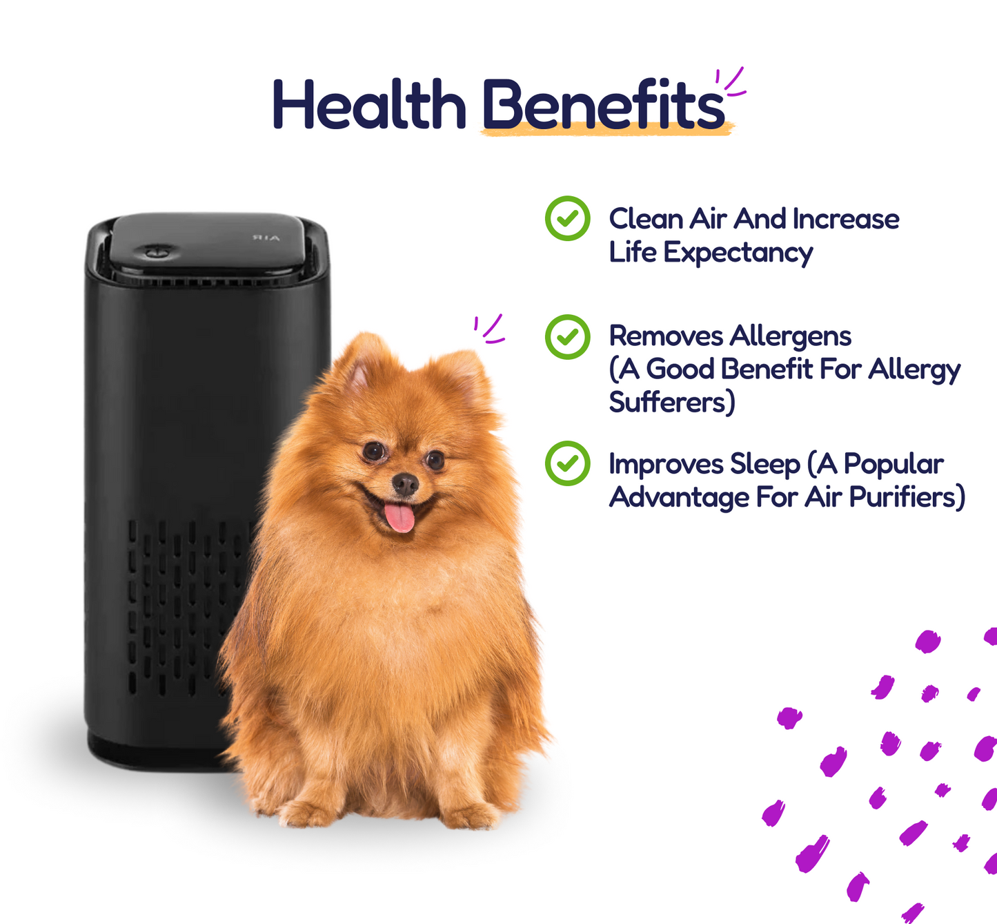 Pet Air Purifier