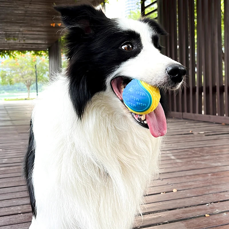 Dogs Interactive Toy