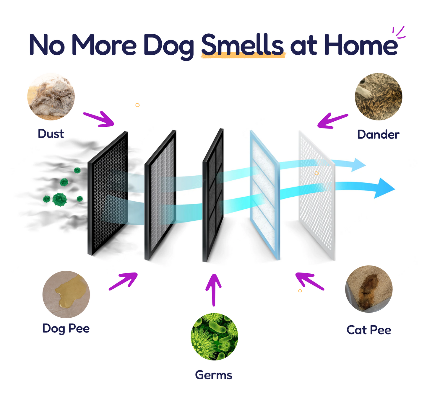 Pet Air Purifier