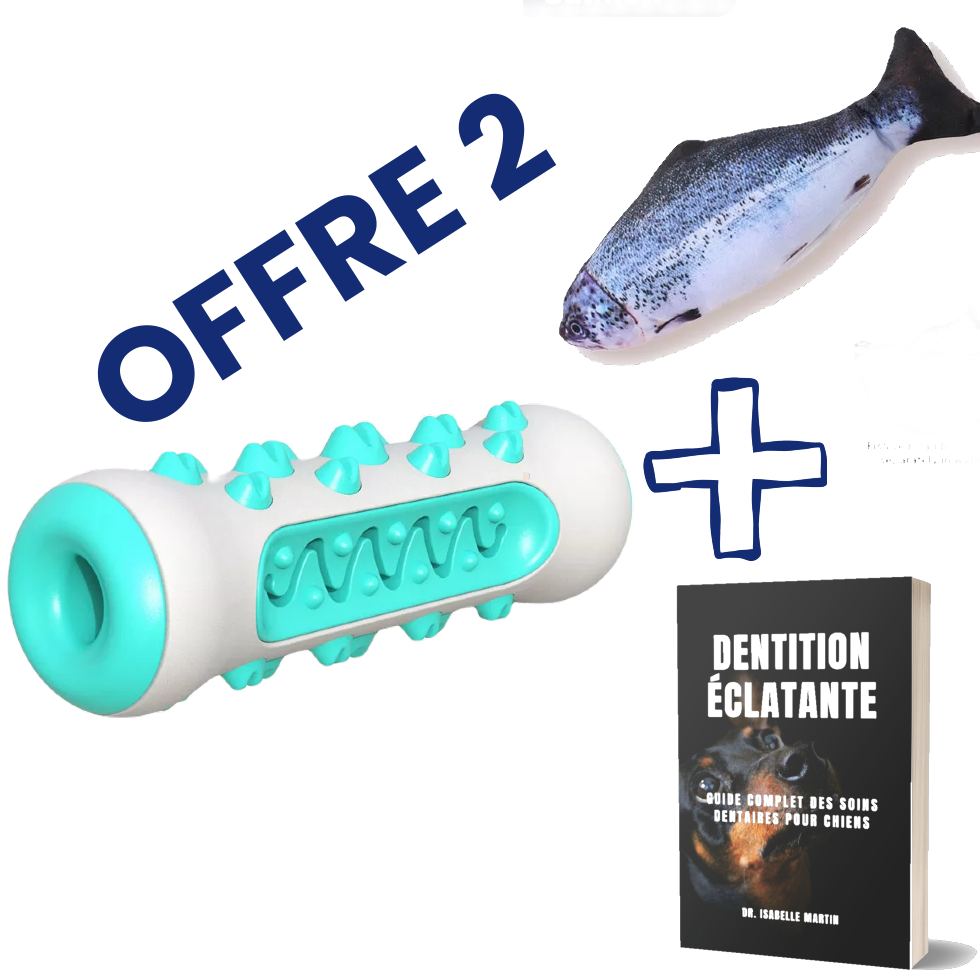 1x ZenChew + 1x Ebook + 1x Poisson souple électrique