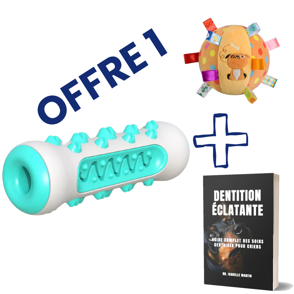 1x ZenChew + 1x Ebook + 1x Jouet grinçant pour chien