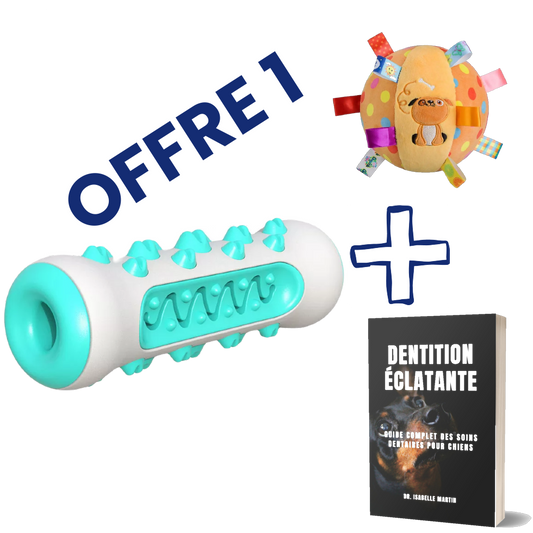 1x ZenChew + 1x Ebook + 1x Jouet grinçant pour chien